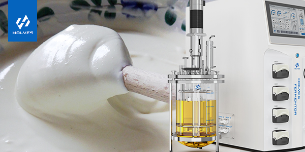 嘿嘿射在线观看视频在乳製品生產中的重要意義 嘿嘿射在线观看视频在乳製品生產中的重要意義